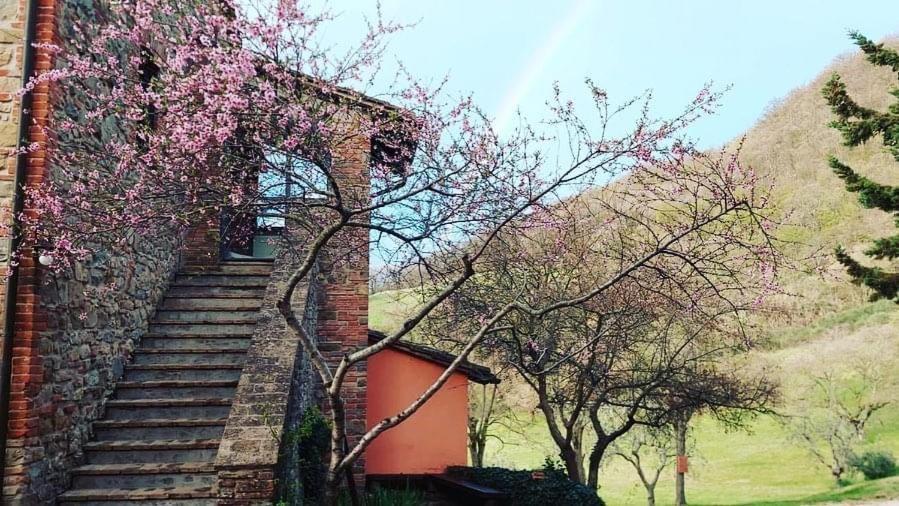 Agriturismo Paradiso41 Assisi Eksteriør billede
