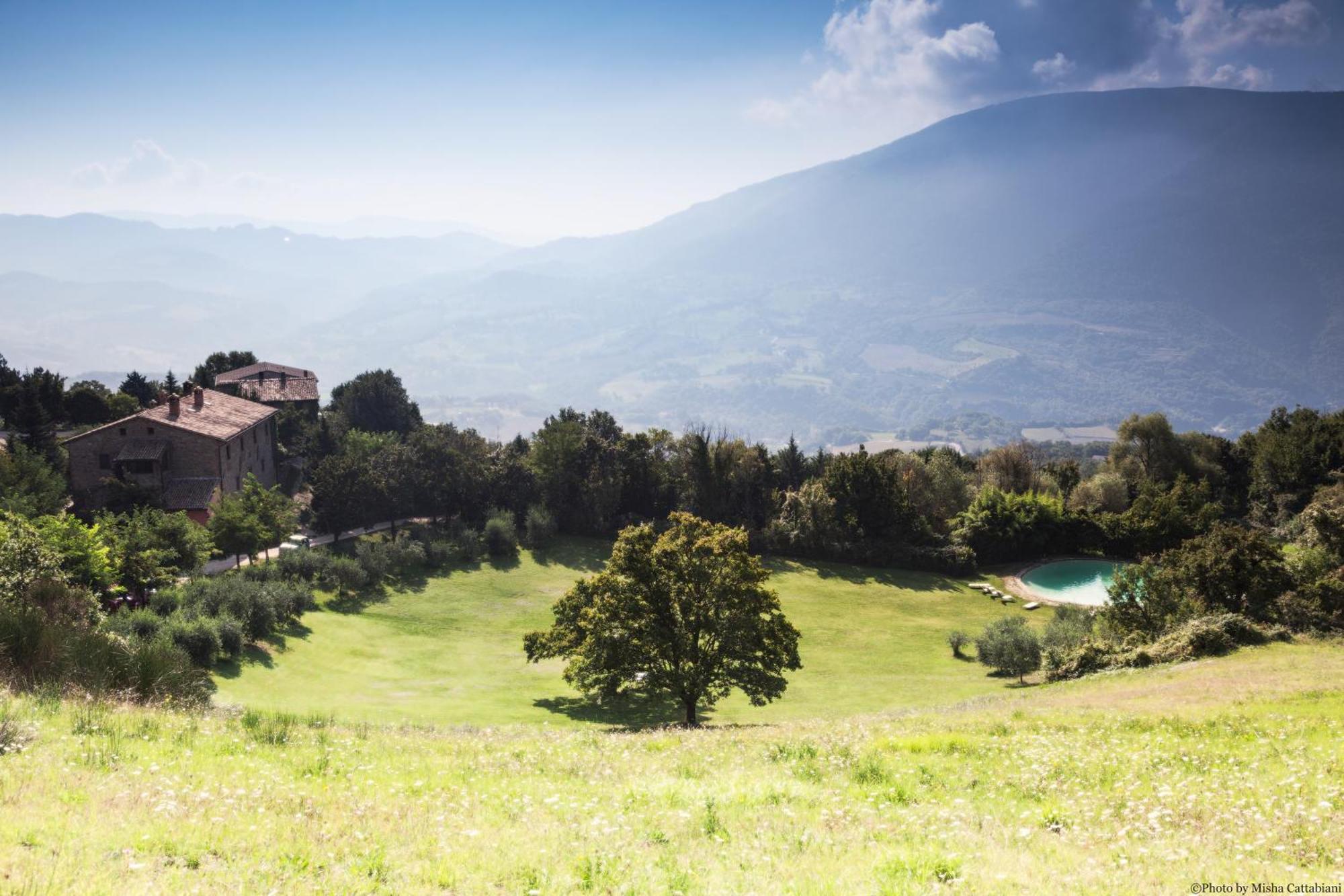 Agriturismo Paradiso41 Assisi Eksteriør billede