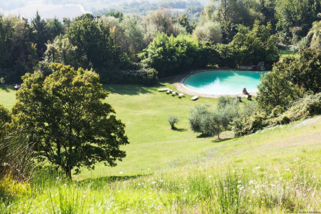 Agriturismo Paradiso41 Assisi Eksteriør billede