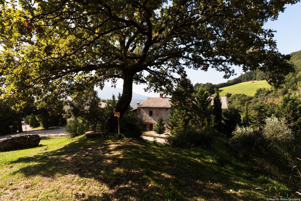 Agriturismo Paradiso41 Assisi Eksteriør billede