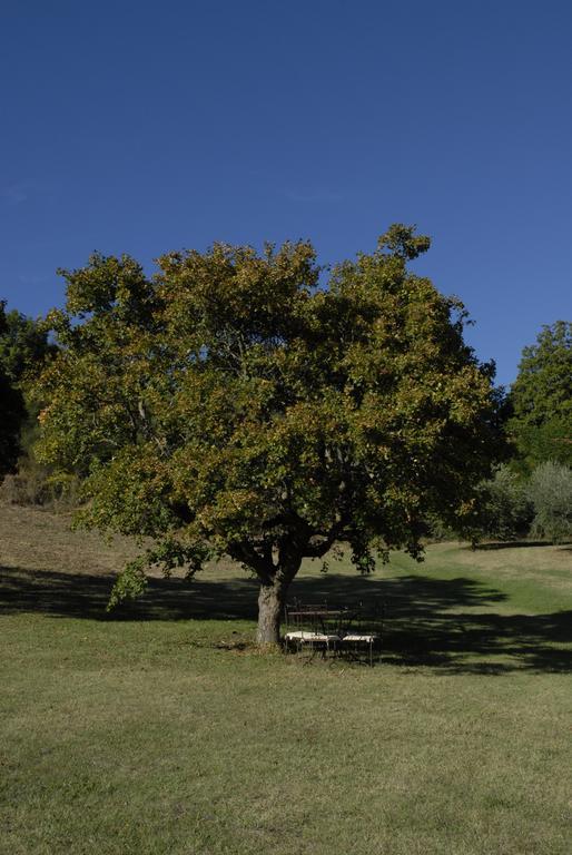 Agriturismo Paradiso41 Assisi Eksteriør billede