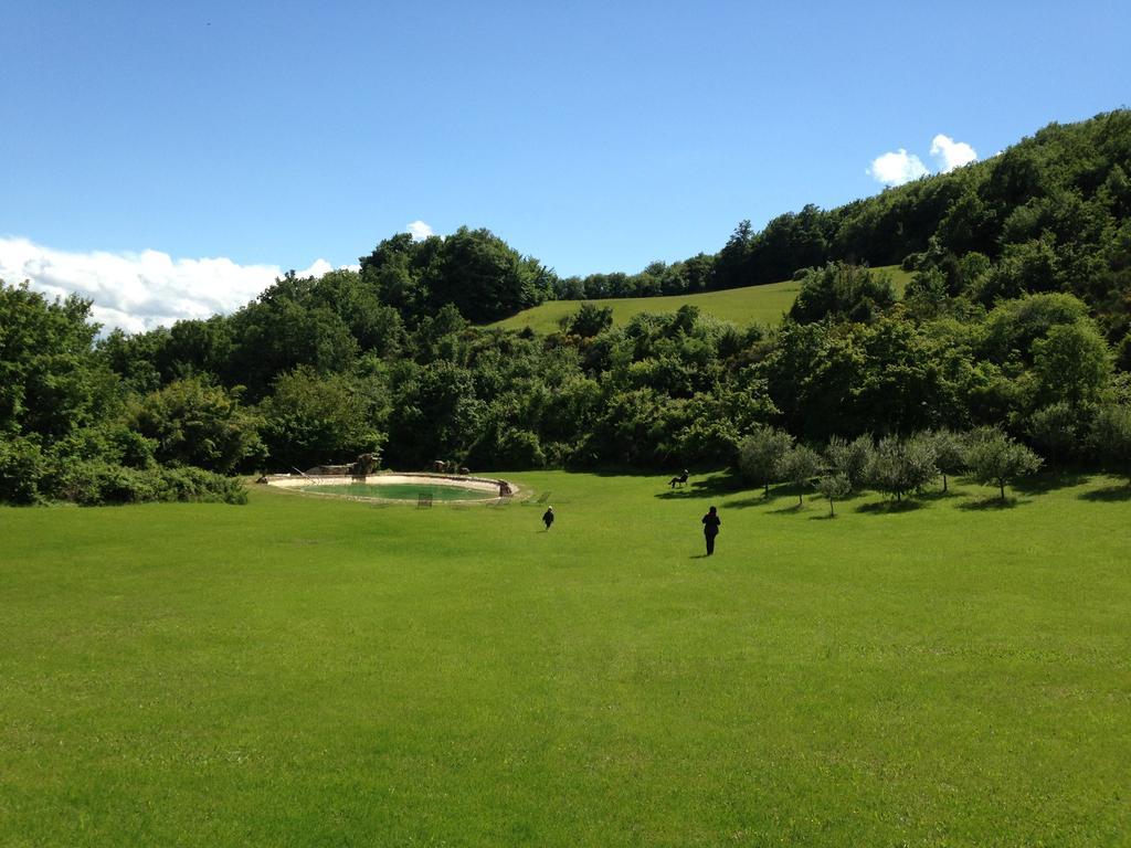 Agriturismo Paradiso41 Assisi Eksteriør billede