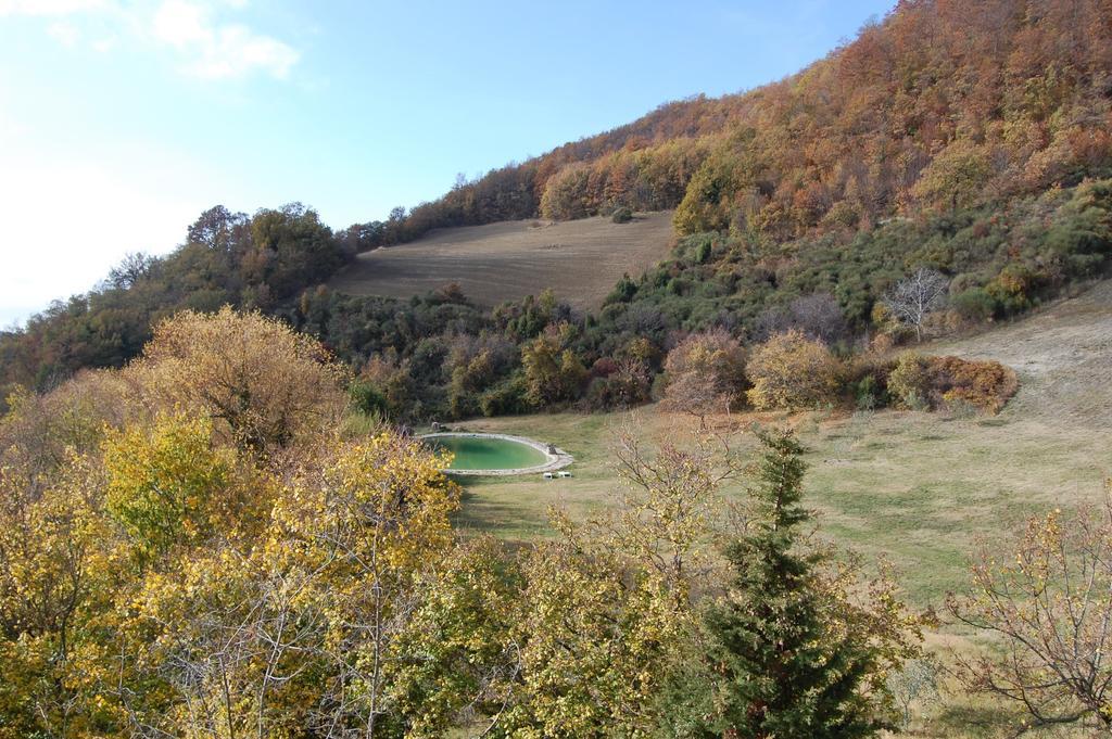 Agriturismo Paradiso41 Assisi Eksteriør billede