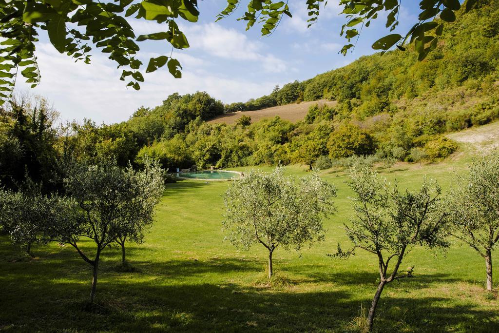 Agriturismo Paradiso41 Assisi Eksteriør billede